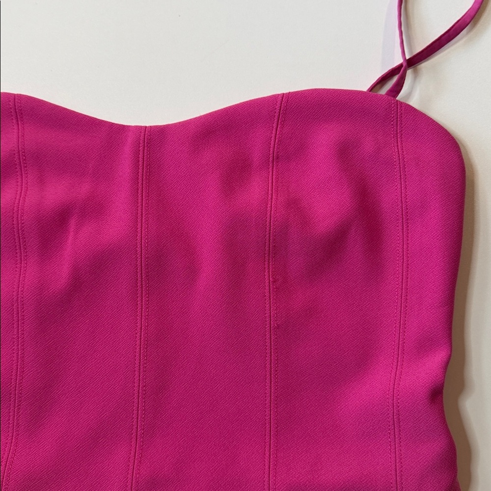 Abercrombie & Fitch Fuchsia Corset Dress Size Medium Petite - Picture 4 of 6